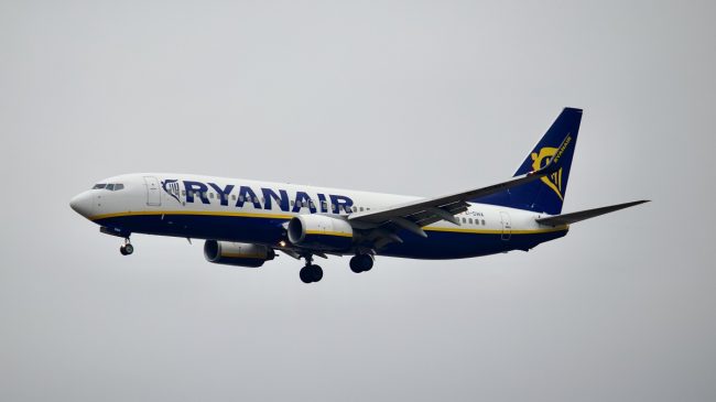 Ryanair aircraft - know their baggage policy