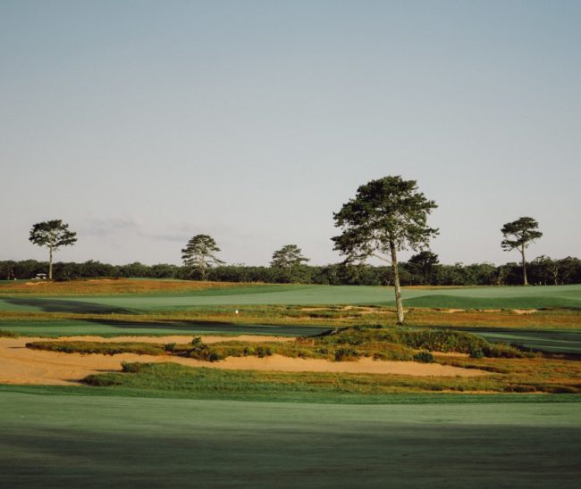 Vineyard Golf, one of the most eco friendly golf courses in the US
