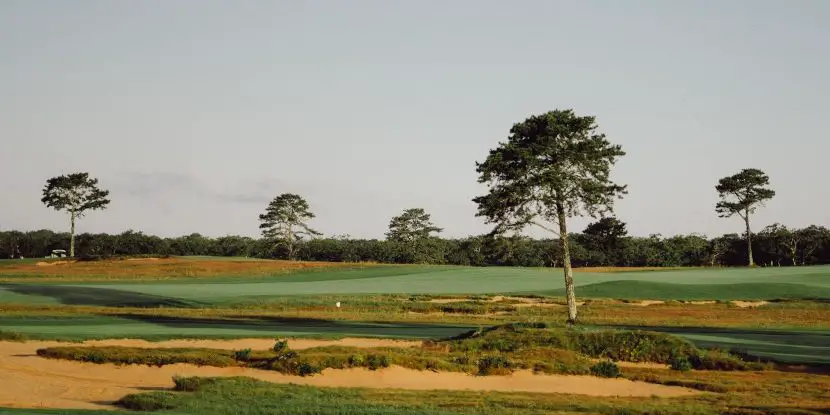 vineyard_golf Vineyard Golf, one of the most eco friendly golf courses in the US